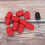 Nagelzandband 16x25mm rood 3