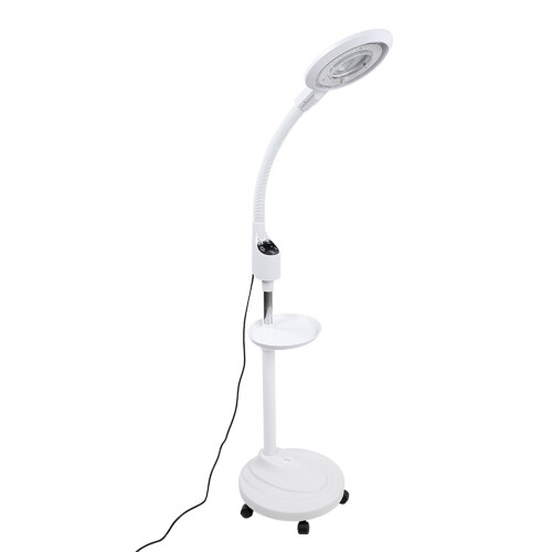 LED Beauty Salon Floor Lamp 2
