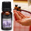 Professional Aromatherapy Essential Oil Lavender 5