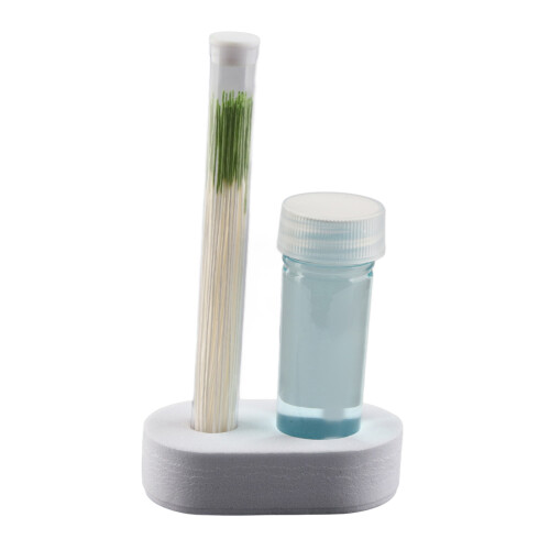 Set Pulizia Orecchie 15ml Mint