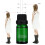 Kruiden Groeiolie Voet 10ml 3