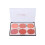 6 Colors Face Makeup Blusher Long-lasting Waterproof N01# 1