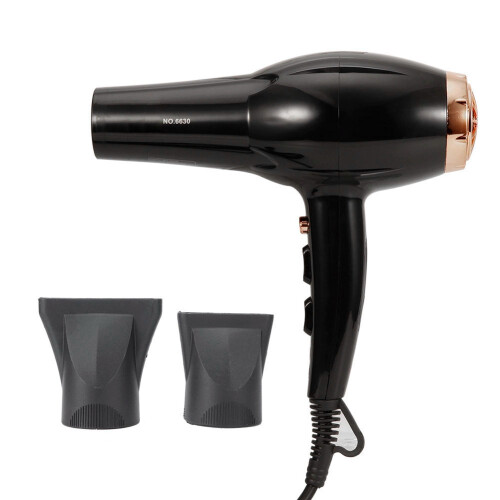 3000W intelligenter Haustier-Föhn, geräuscharm