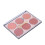 6 Colors Face Makeup Blusher Long-lasting Waterproof N01# 3