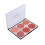 6 Colors Face Makeup Blusher Long-lasting Waterproof N01# 2