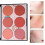 6 Colors Face Makeup Blusher Long-lasting Waterproof N01# 4