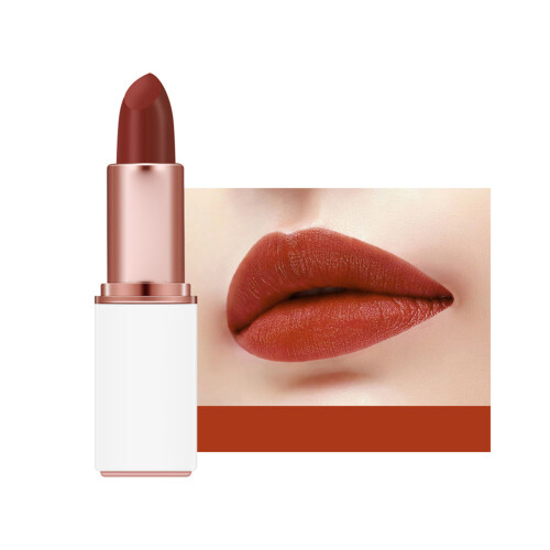 Samt-Matte Lippenstift, langanhaltend (#07)
