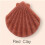 Cowry Konjac-Gesichtsschwamm, feucht/trocken, rot 2