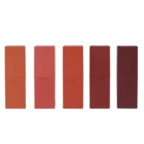 5-farbiger Matte-Lippenstift-Set, langanhaltend & natürlich 1