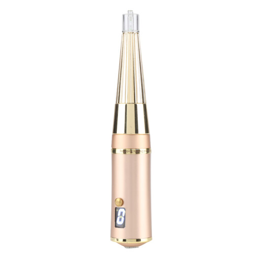 Penna tattoo sopracciglia labbra oro 2