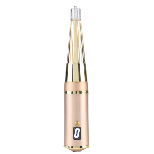 Penna tattoo sopracciglia labbra oro 1