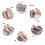 Carevas pillow massager 2