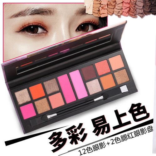 14-farbiges wasserfestes Glitzer-Eyeshadow-Blush 4204 (02) 2