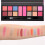 14-farbiges wasserfestes Glitzer-Eyeshadow-Blush 4204 (02) 2