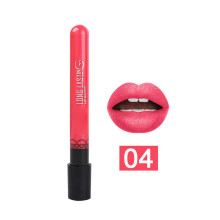 38 Farben wasserfeste Lippenstift-Set mit Glanz