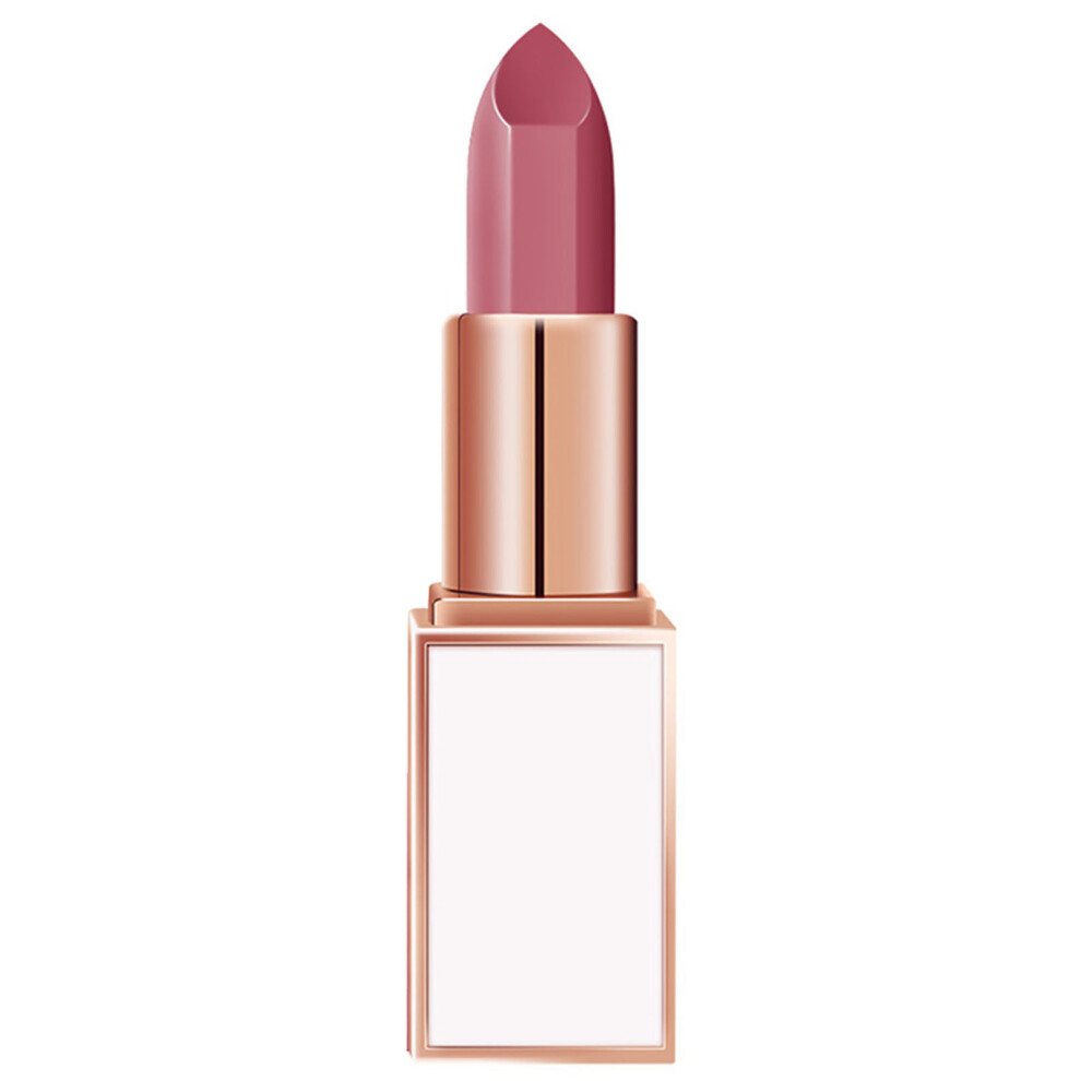 Women Matte Lipstick Moisturizing Long Lasting Lip Gloss #4