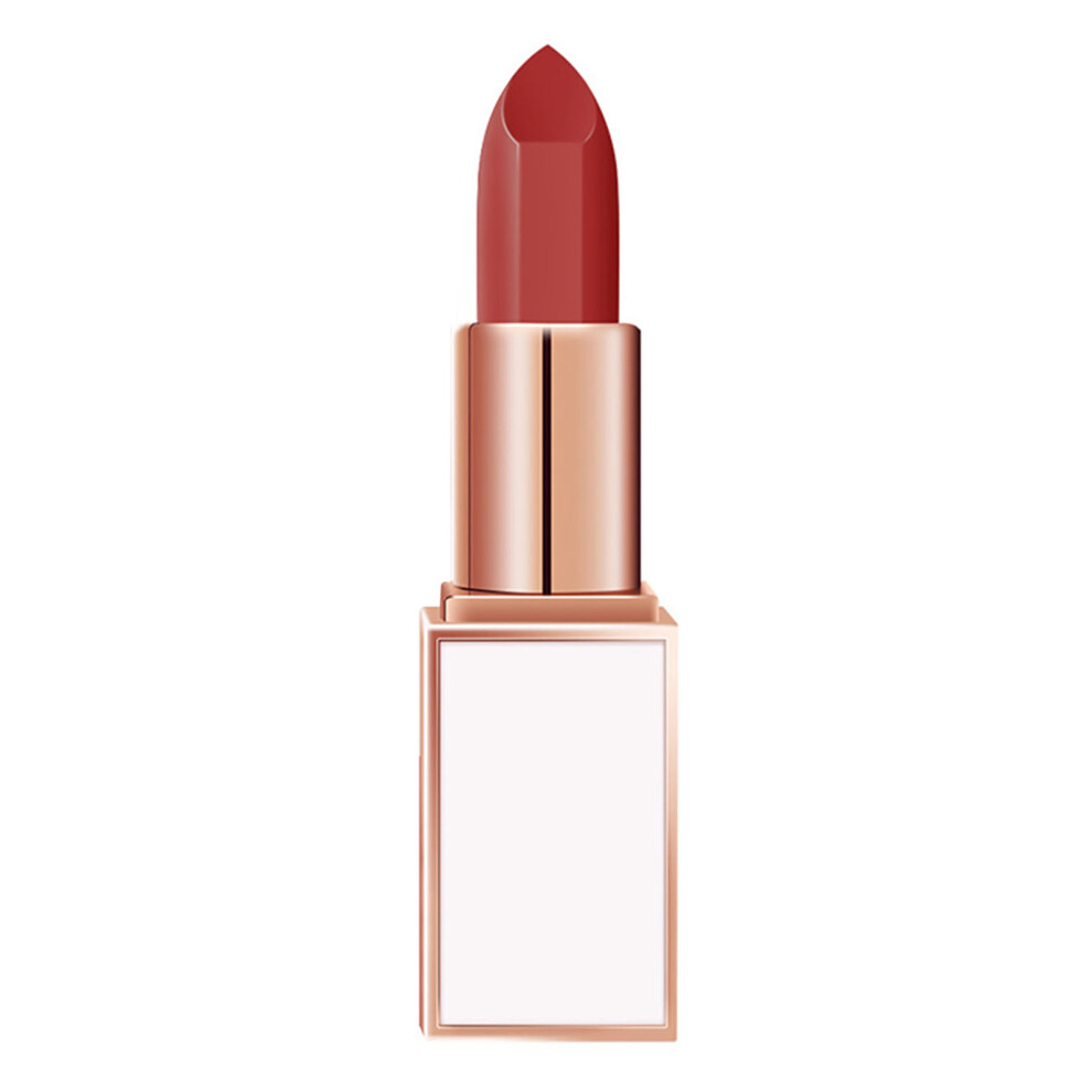 Women Matte Lipstick Moisturizing Long Lasting Lip Gloss #12