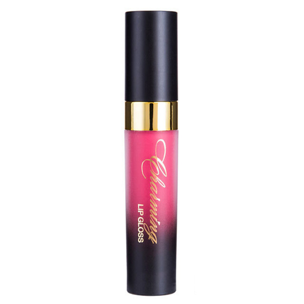 12 Colors Waterproof Lip Gloss Liquid Lipstick with Cleansing Gel (10)
