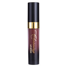 12-farbig wasserfeste flüssige Lipgloss mit Reinigungsgel