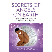 Secrets of Angels on Earth by Allan J. Sweeney Paperback Book