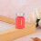 DIY-Lippenstift-Pigmentpulver S06, Make-up 3