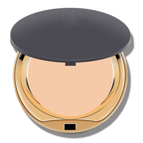 Long Lasting Facial Concealer Powder 2#
