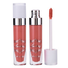 Matte Lippenstift wasserdicht feuchtigk. F6102-11