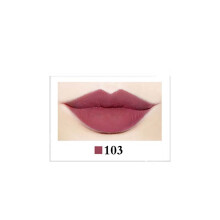 Wasserdicht, langanhaltender Lippenstift-Gloss-Stick 103