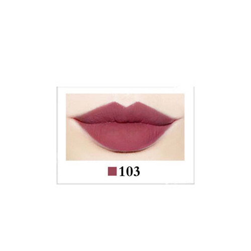 Wasserdicht, langanhaltender Lippenstift-Gloss-Stick 103