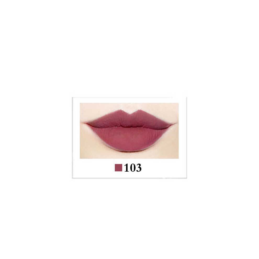 Waterproof Long Lasting Lip Pencil Gloss Stick 103#