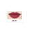 Wasserdicht, langanhaltender Lippenstift-Gloss-Stick 102 1