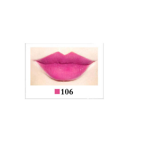 Matita Labbra Stick Waterproof Lunga Durata 106#