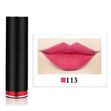Wasserdicht langanhaltender Lippenstift 113#