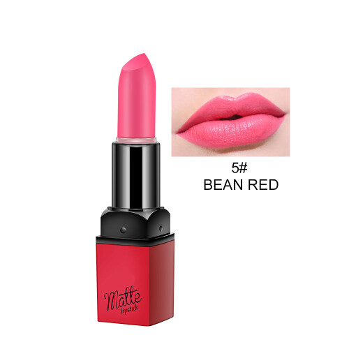Mist Matte-Lippenstift Rechtecktube 5#
