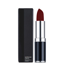 HANDAIYAN 12 Color Matte Waterproof Lipstick Long Lasting Velvet (4#)