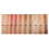 Professional Matte Pearl Earth Shadow Palette 3