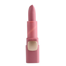 Waterproof Mist Matte Lipstick 33#Orchid
