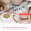 5g Wimpernkleberentferner Creme 4
