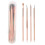 4Pcs Rose Gold Stainless Steel Acne Remover 1