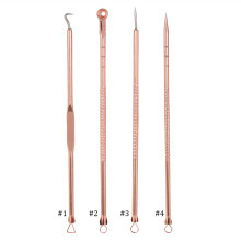 4x RVS Zwarte Puntjes Verwijdering Kit