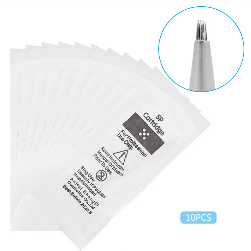 10pcs Electric Microneedle R5