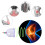 12x Suction Cups Cupping Massage Vacuum Therapy TCM 5