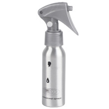 60ml Zilveren Sprayfles voor Planten en Haar