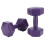 Rubber Coating Hex 4kg Dumbbell Deep Purple 1