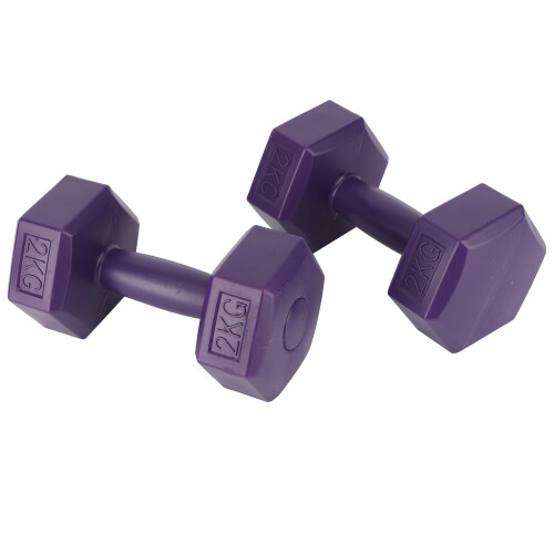 Rubber Coating Hex 4kg Dumbbell Deep Purple 2