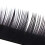 Imitation Mink Eyelash Extensions 0.20C 10mm 2