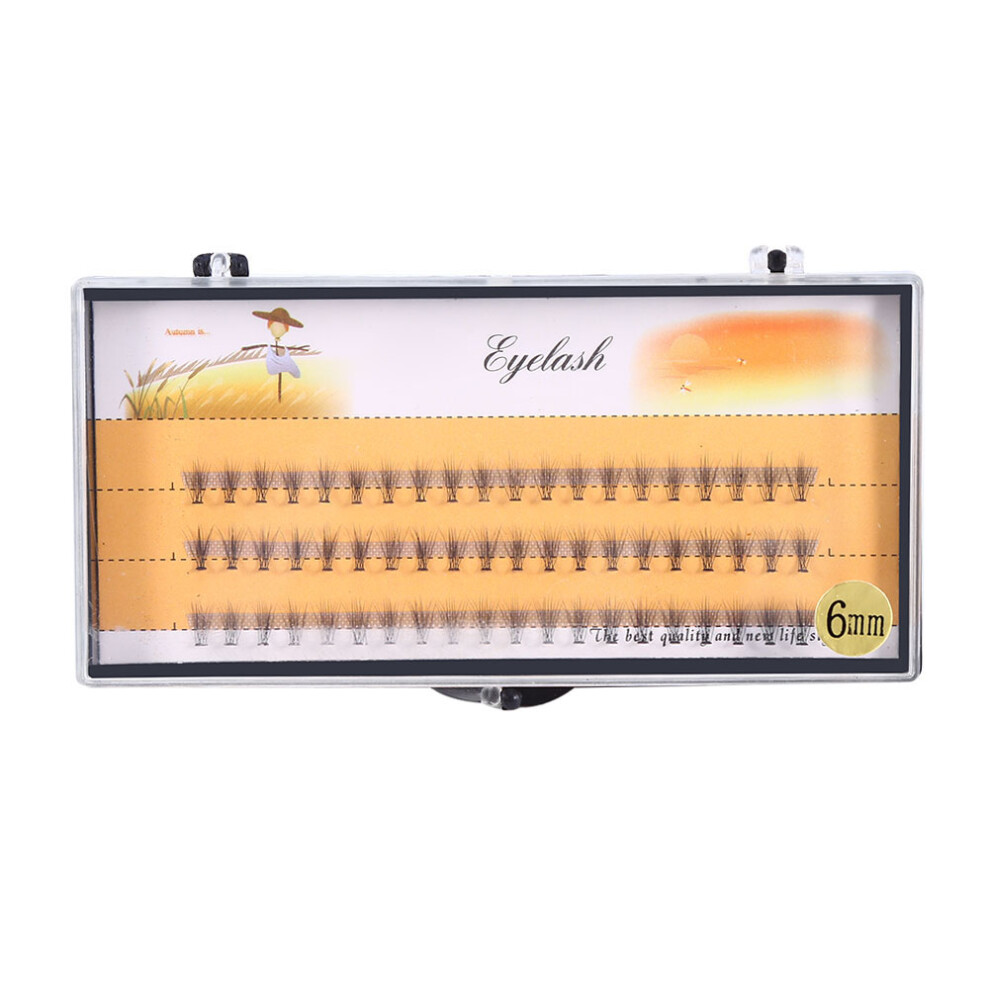Natural Soft Volume False Eyelashes 3D 6mm