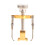 Professional Ingrown Toe Nail Correction Tool 2