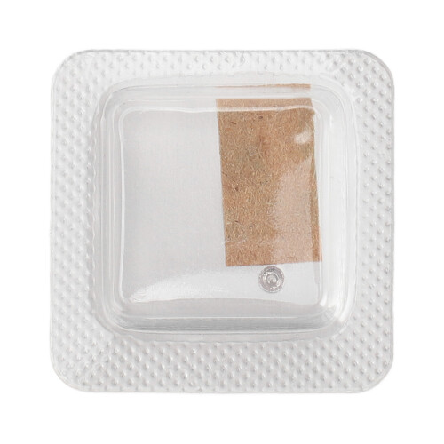 3135 Watch Movement Fixing Screw Accessories