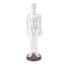 (Male) 52cm acupunctuur model voor studenten, mannelijk
